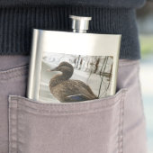 Flasque Canard gris sur la nuit du lac (En situation)