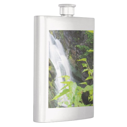 Flasque Cascade de Hell's Gate Canyon (Droite)