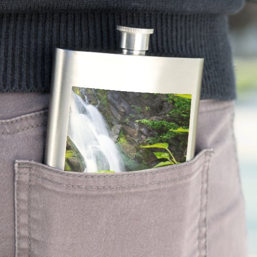 Flasque Cascade de Hell's Gate Canyon (En situation)