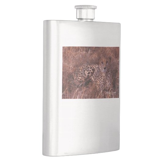 Flasque Cheetah Stare (Droite)