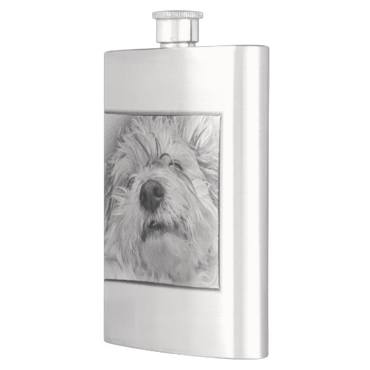 Flasque Chien de Coton de Tulear (Gauche)