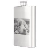 Flasque chiot australien (Gauche)
