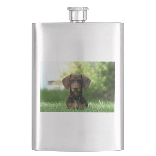 Flasque Chiot Brown Dachshund (devant)