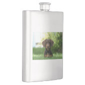 Flasque Chiot Brown Dachshund (Droite)