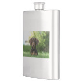 Flasque Chiot Brown Dachshund (Gauche)