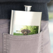 Flasque Chiot Brown Dachshund (En situation)