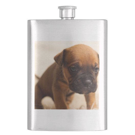 Flasque chiot de bulldog (devant)