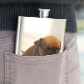 Flasque chiot de bulldog (En situation)
