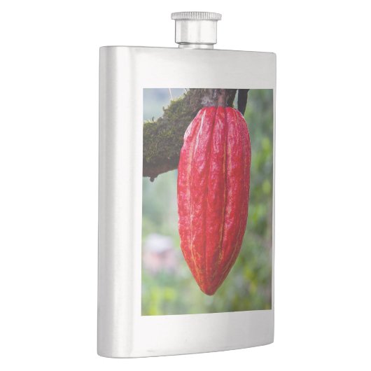 Flasque cocod (Droite)