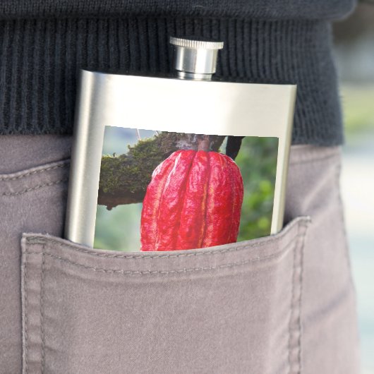 Flasque cocod (En situation)