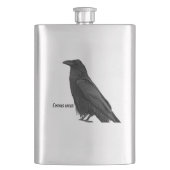 Flasque Corbeau noir avec nom scientifique (devant)