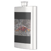 Flasque Crabe rouge (Gauche)