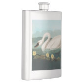 Flasque cygne audubon cygnes d'eau blanche (Droite)