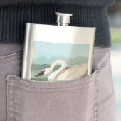 Flasque cygne audubon cygnes d'eau blanche (En situation)