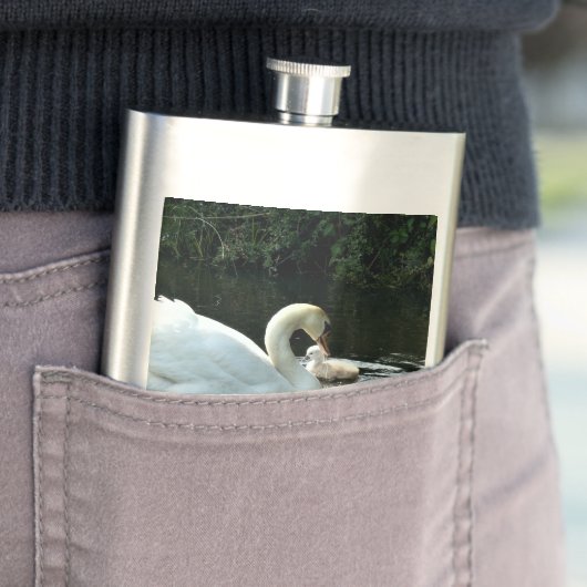 Flasque Cygne blanc avec poules (En situation)