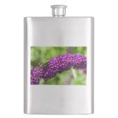 Flasque énergie katydone (devant)