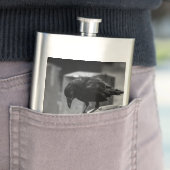 Flasque Falln Cemetery Crow (En situation)