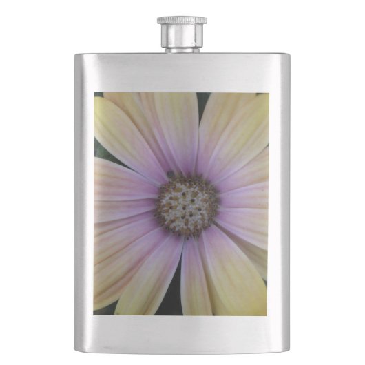 Flasque Fleur marguerite jaune et violet (devant)