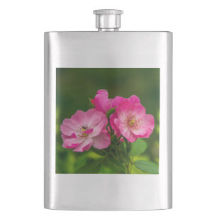 Flasque Fleurs de rose sauvage rose Photographie Design-52