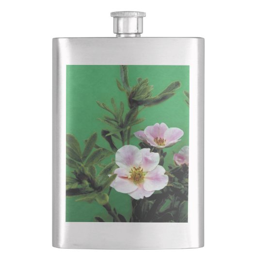 Flasque fleurs sauvages de rose rose en vert. (devant)