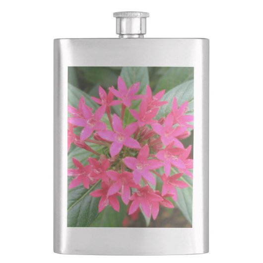 Flasque Fleurs tropicales rose vif (devant)