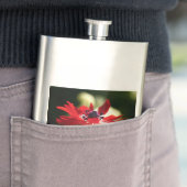 Flasque Flower rouge (En situation)