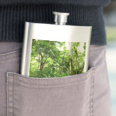 Flasque Forêt de pluie dominicaine I Nature verte tropical (En situation)