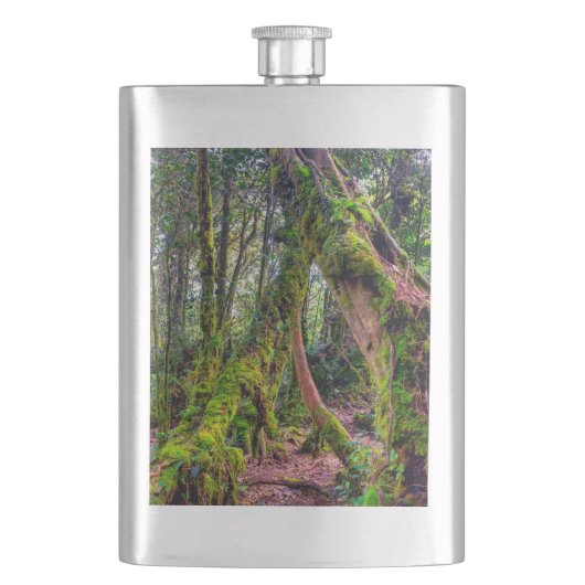 Flasque Forêt moussue (devant)