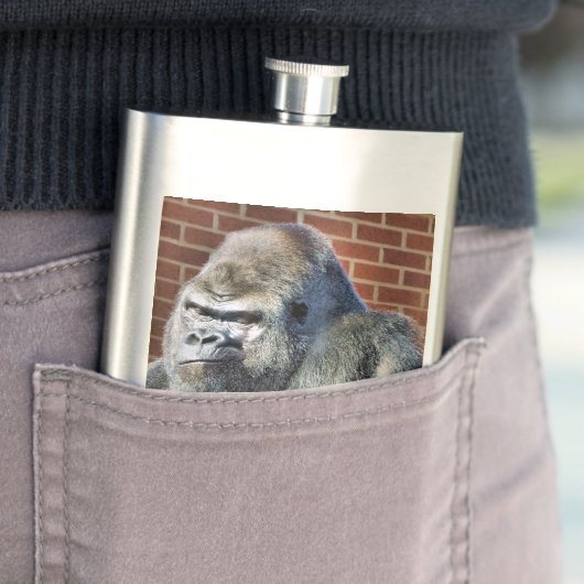 FLASQUE FUN GORILLA (En situation)