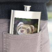 Flasque Furet (En situation)