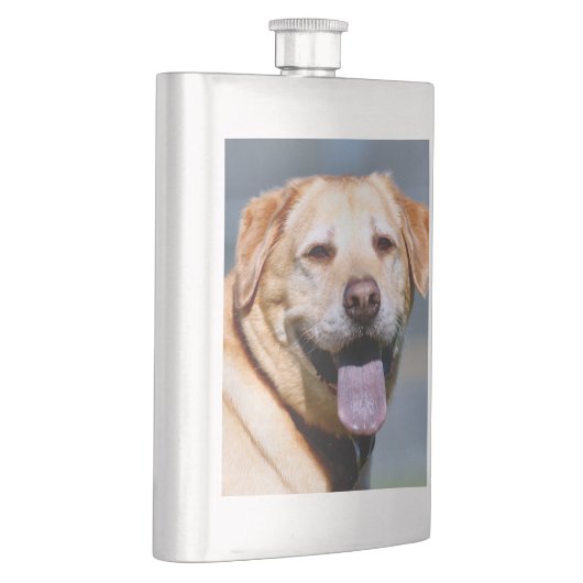 Flasque Grin (Droite)