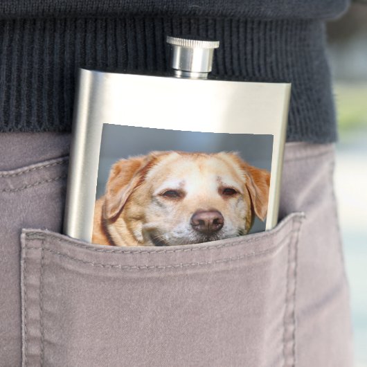 Flasque Grin (En situation)