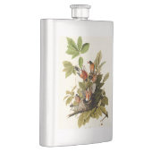 Flasque Illustration Audubon American Robin Wildlife Bird (Droite)