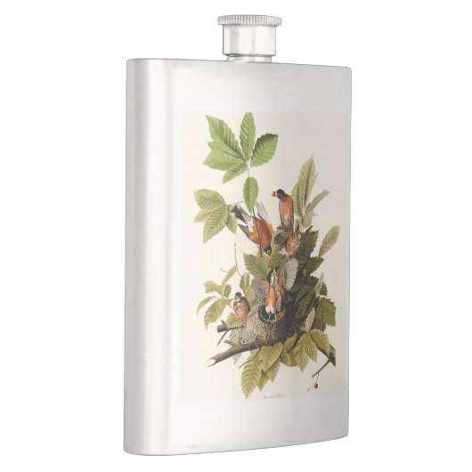 Flasque Illustration Audubon American Robin Wildlife Bird (Droite)