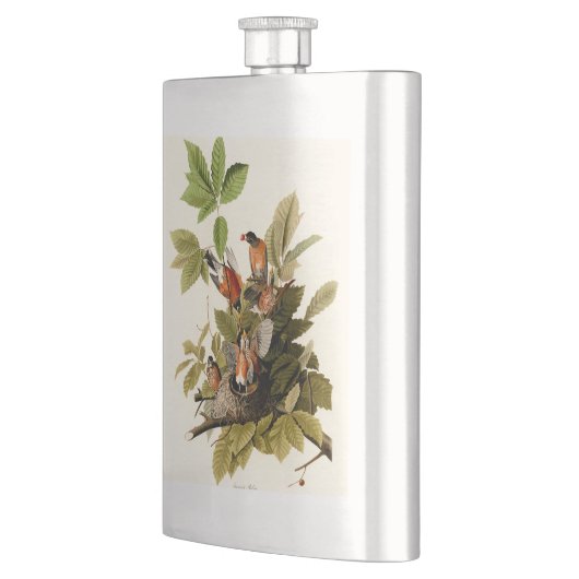 Flasque Illustration Audubon American Robin Wildlife Bird (Gauche)