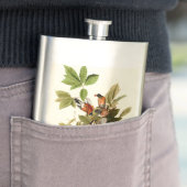 Flasque Illustration Audubon American Robin Wildlife Bird (En situation)