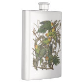 Flasque Illustration Audubon Carolina Parrot Bird (Droite)