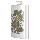 Flasque Illustration Audubon Carolina Parrot Bird (Gauche)