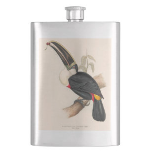 Flasque Impression du Toucan de Cuvier : Oiseau Tropical V