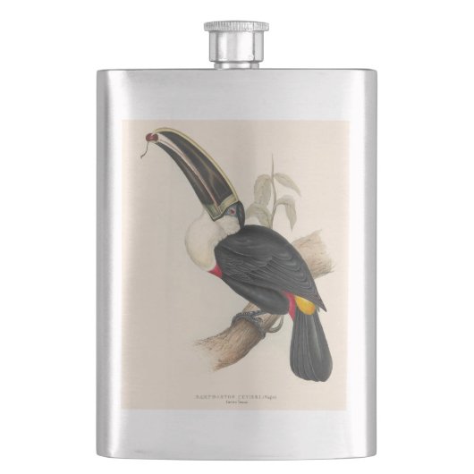 Flasque Impression du Toucan de Cuvier : Oiseau Tropical V (devant)
