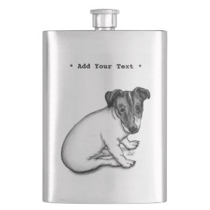Flasque Jack Russell Puppy 10 semaines