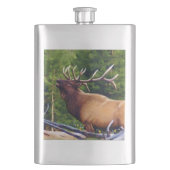 Flasque Les élans Taureau de clairon (devant)