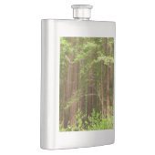 Flasque Les séquoias au monument national de Muir Woods (Droite)