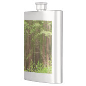 Flasque Les séquoias au monument national de Muir Woods (Gauche)