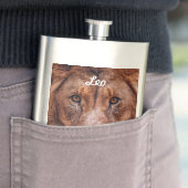 Flasque Lion africain (En situation)