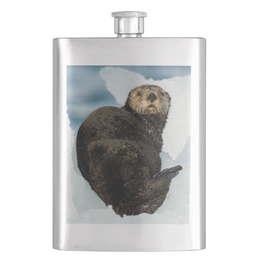 Flasque Loutre de mer (devant)