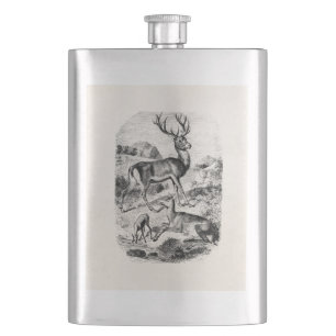 Flasque Mâle vintage de cerfs communs rouges avec la dain