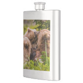 Flasque Mama bear nourrit ses deux petits, Lake Clark Nati (Gauche)