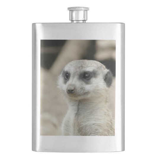Flasque Meerkat (devant)