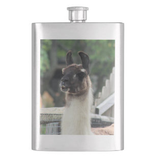 Flasque Méfiez-vous du lama !